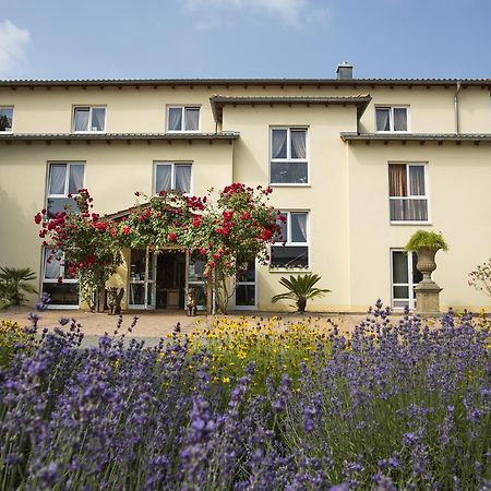 Mediterran Hotel Juwel Karlstein am Main Ngoại thất bức ảnh